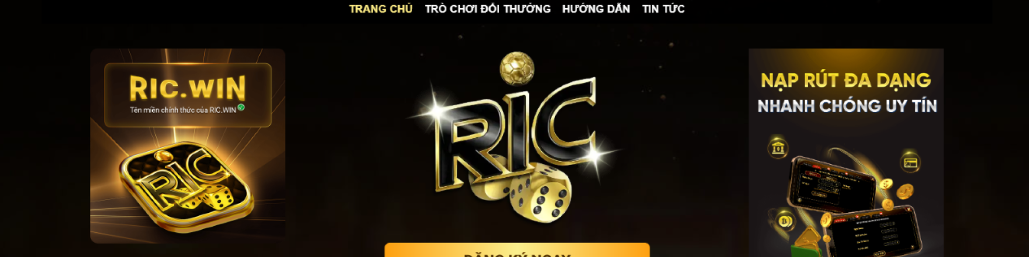 RICWIN