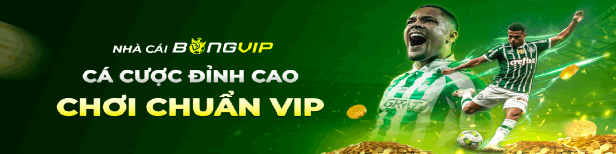 bongvip1234