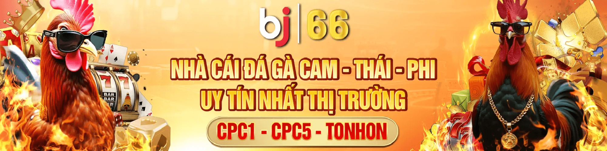 bj66nmct