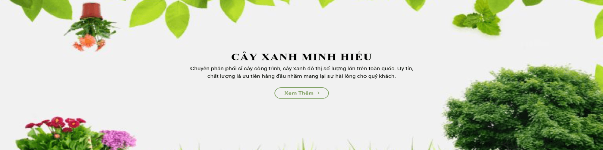 caycongtrinh
