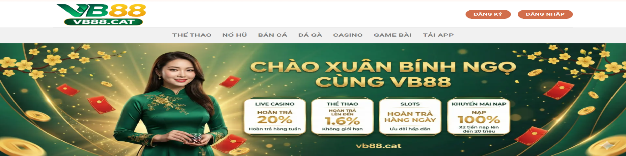 vb88cat2
