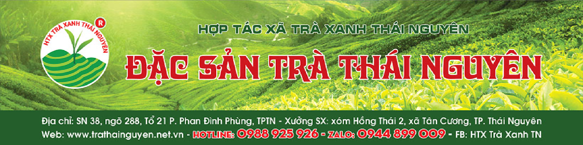 trathainguyen
