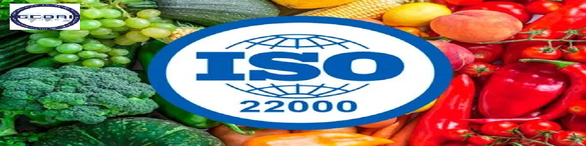 iso22000