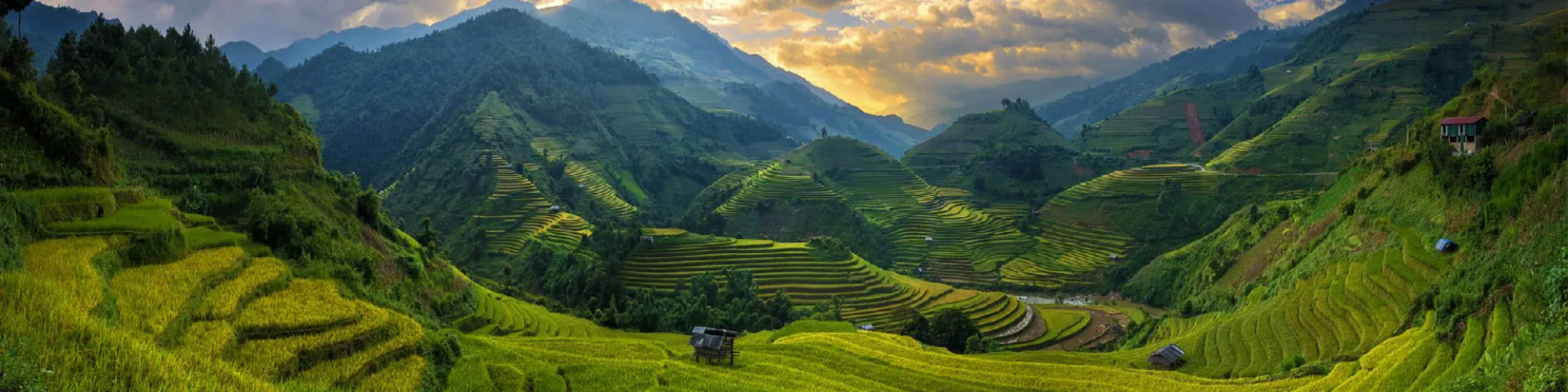 vietnamcarrental