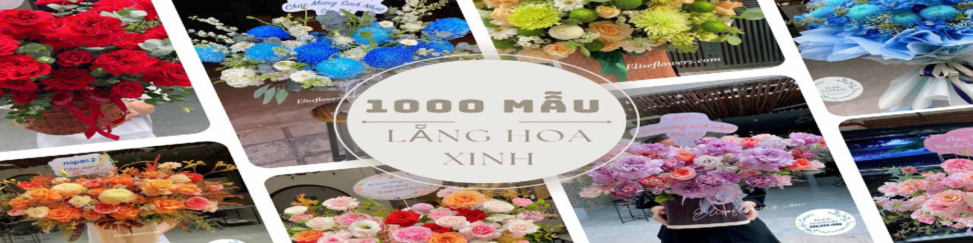 hoatangbangai