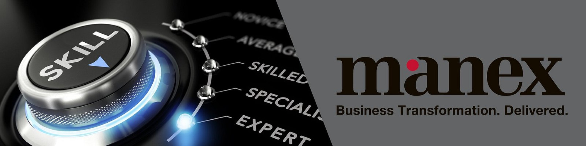 Manex Consulting