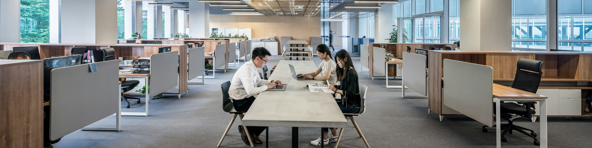 web development studio