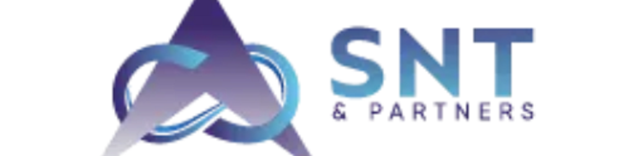 SNT Partners