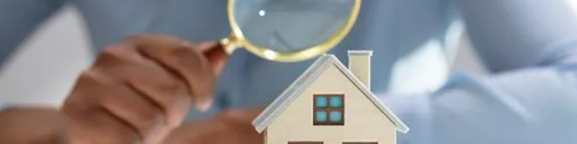 building pest report
