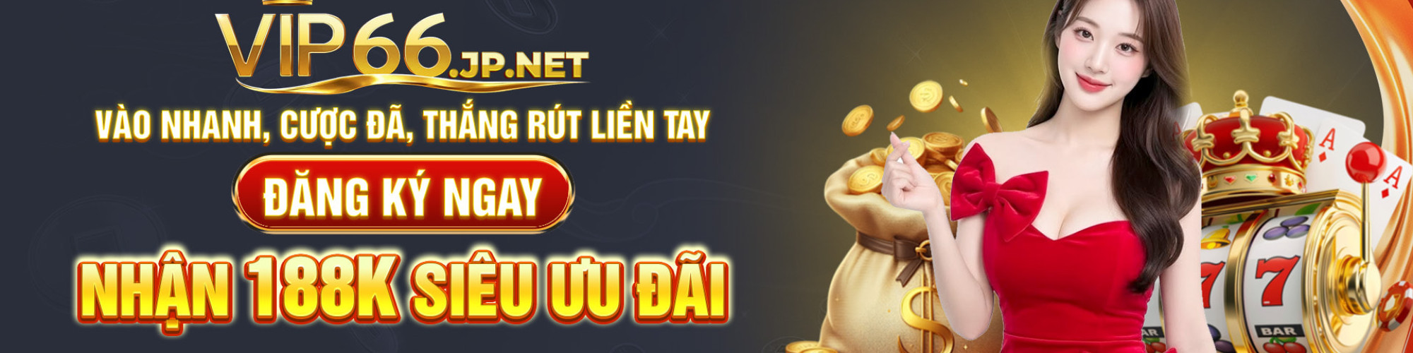 vip66jpnet