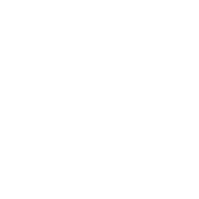 cipdassessment-logo