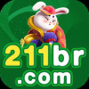 211br