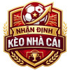 Nhan Dinh Keo Nha Cai - Soi Keo & Du Doan Bong Da Chinh Xac