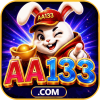 aa133