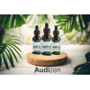 Audizen  Price