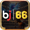bj66nmct