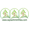 caycongtrinh