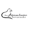 Africans savannahs