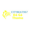 Đá Gà Trực Tiếp Thomo