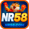 nr58