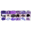Organoid Culture Tools
